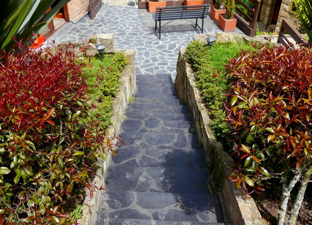 Casa Hippiness主图