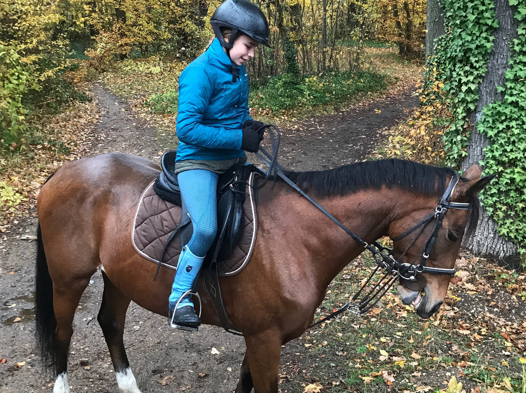 Horse Holidays France景点图片