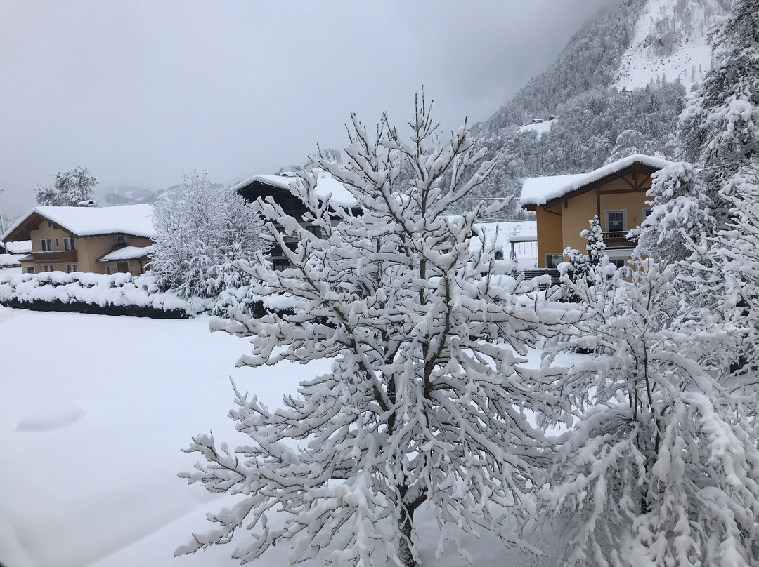 Landhotel Lerch Plankenau主图