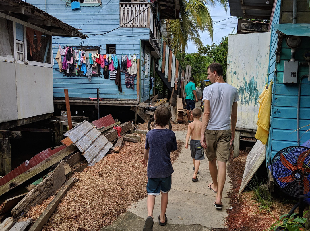 Koko Over The Water主图