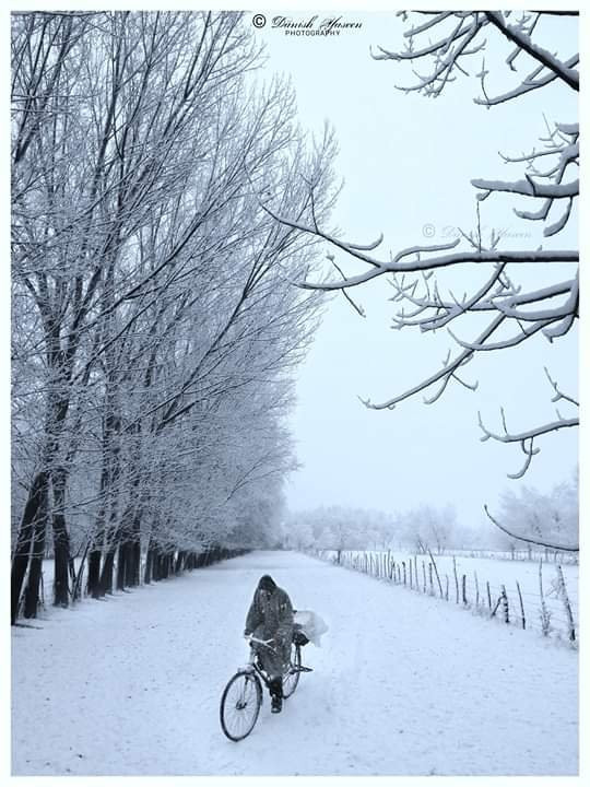 COUNTRYSIDE KASHMIR-贡马必去景点