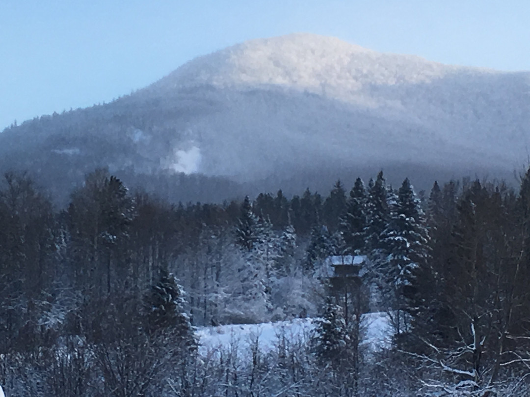 South Meadow Farm Lodge主图