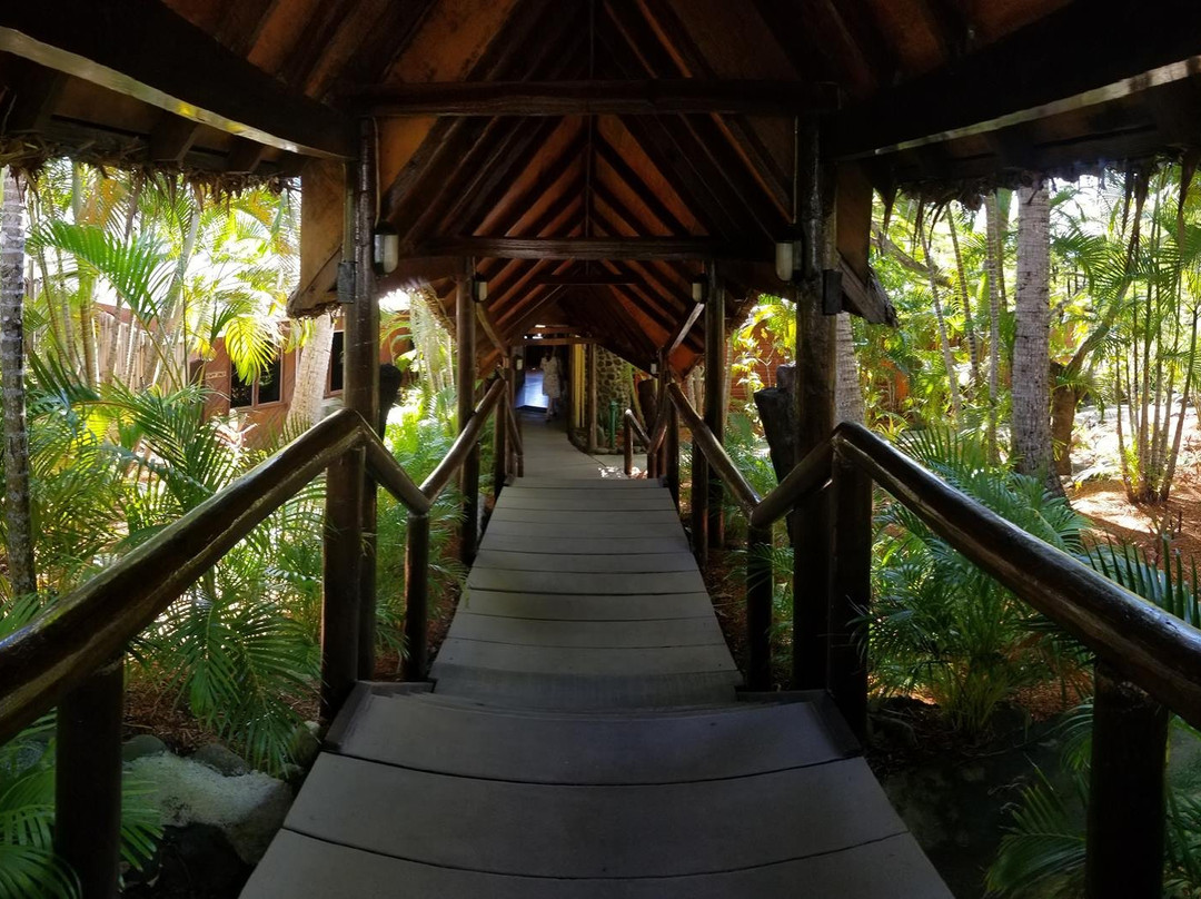 瓦纳纳努海滩酒店主图