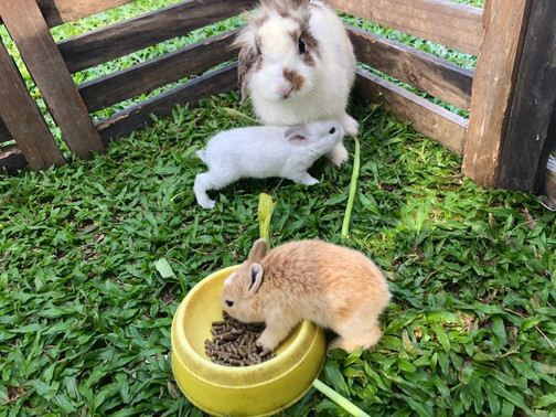 普吉岛塔夫海滩水疗度假村主图