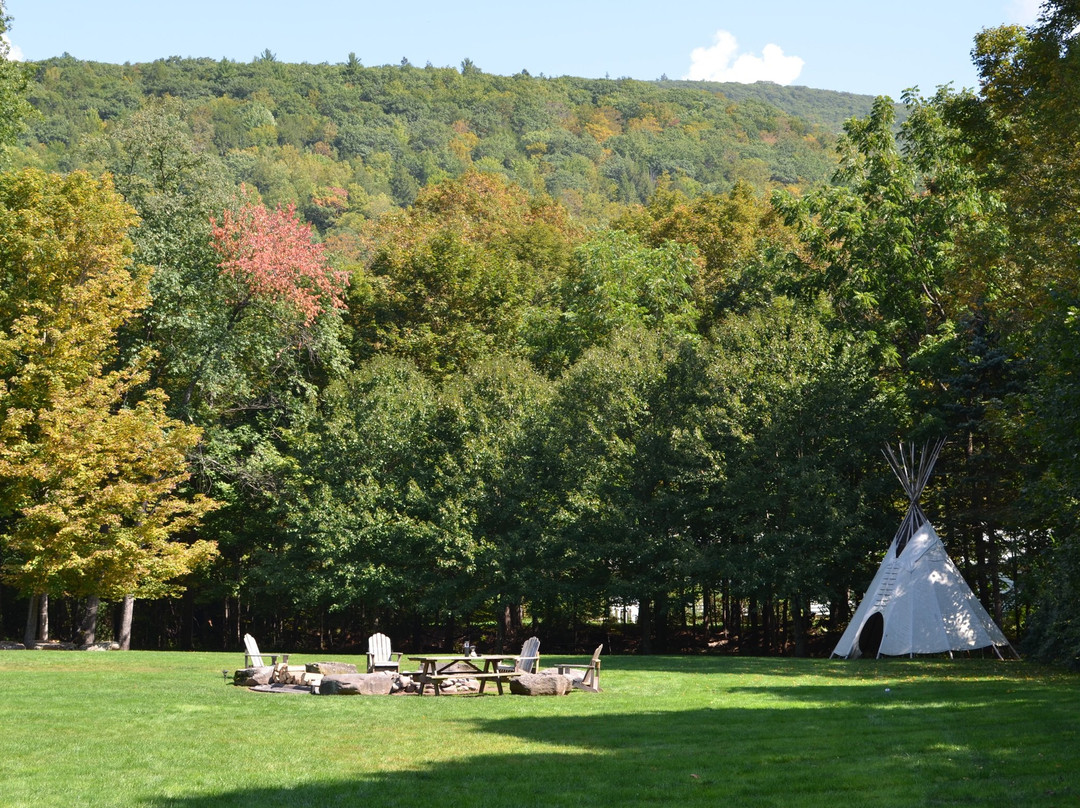 The Graham & Co.主图