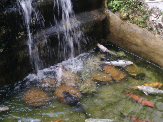 Hotel Chácara do Mosteiro主图