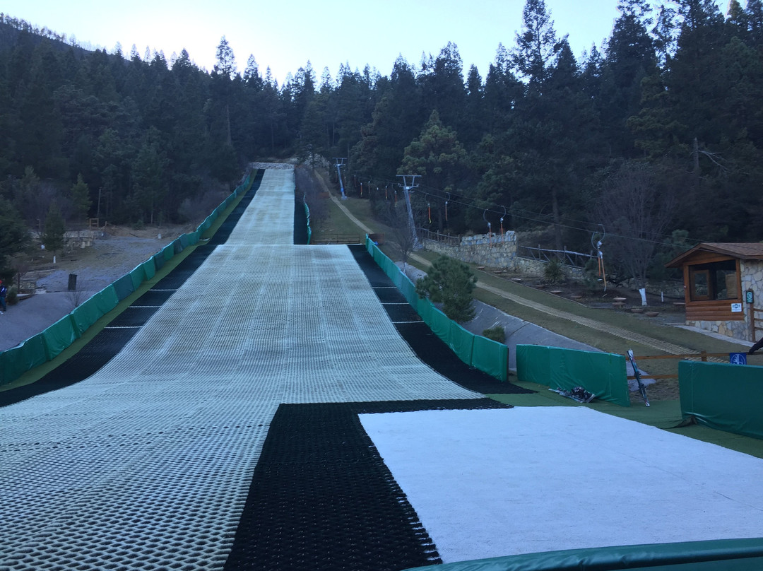 Bosques de Monterreal主图