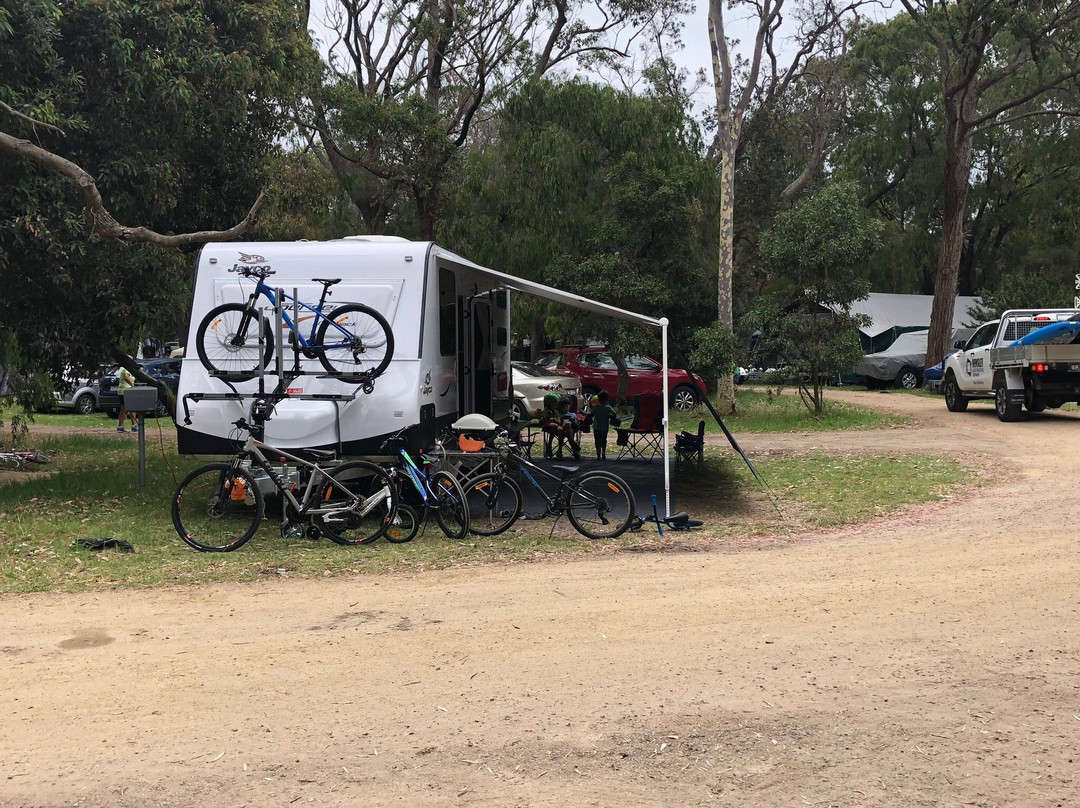 Rosebud Camping