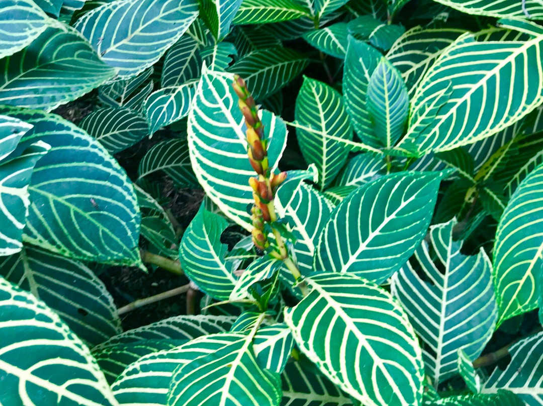 Tinara River Inn主图