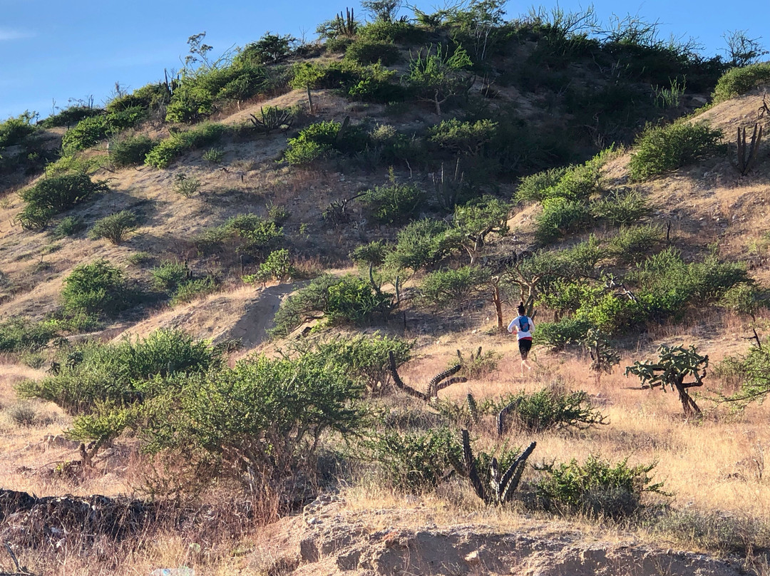 DownWinder Inn主图