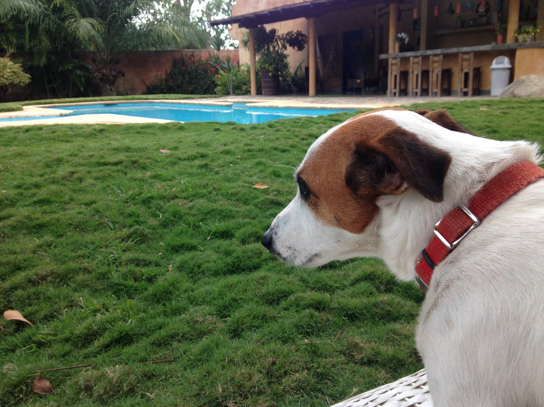 Los Ranchos De Chano主图