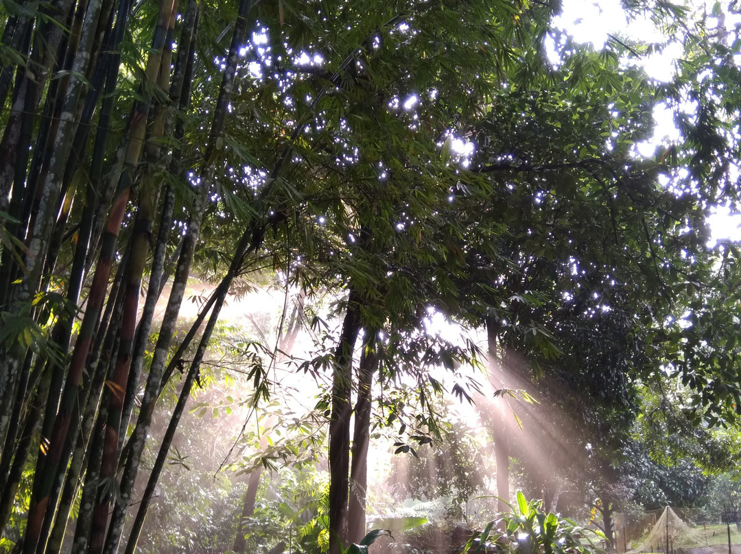 圣淘沙别墅主图