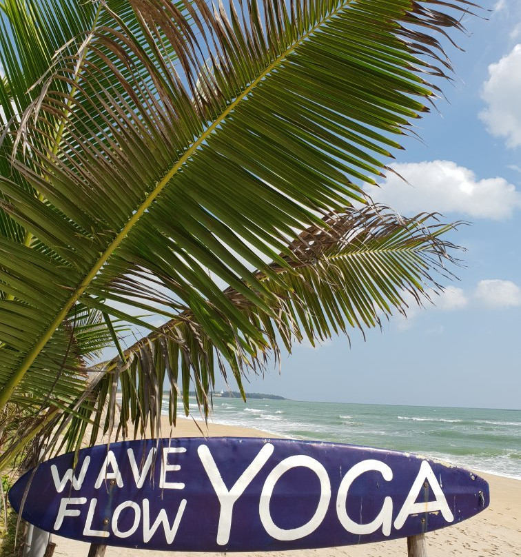 Wave Flow Yoga景点图片