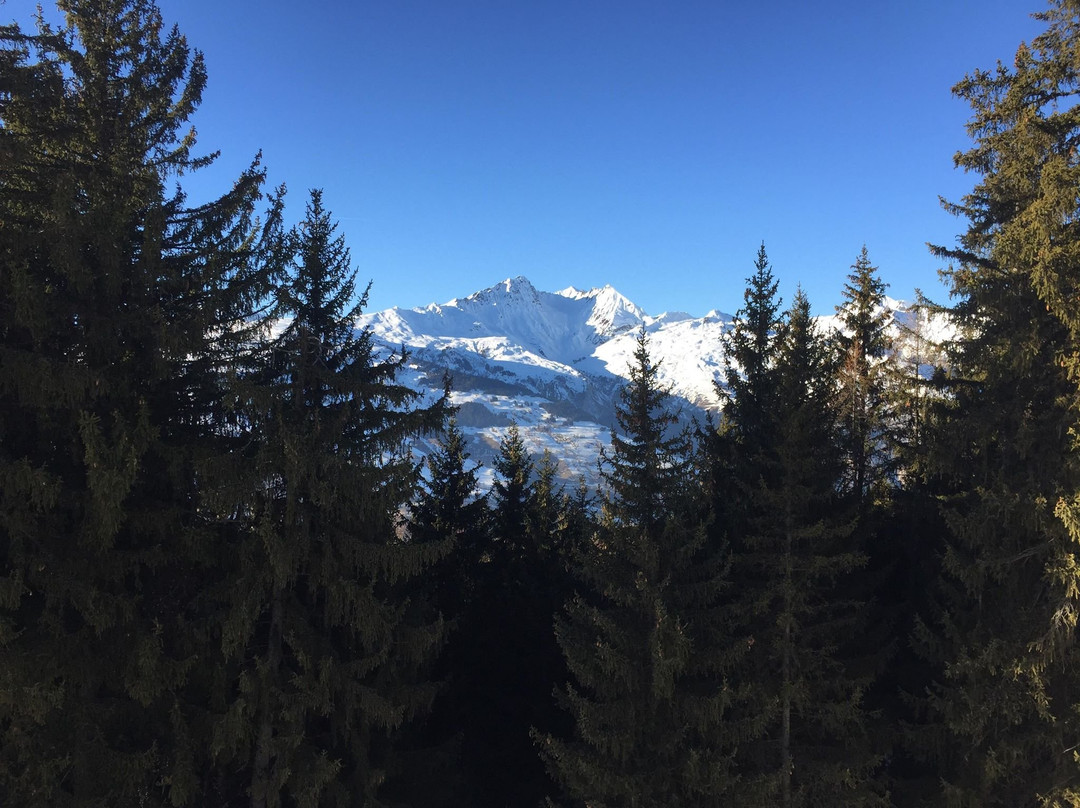 L'Aiguille Grive Chalets Hotel主图