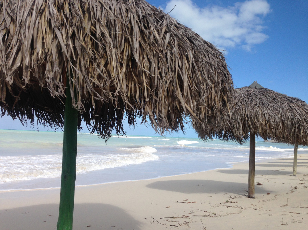 Hotel Cayo Levisa主图