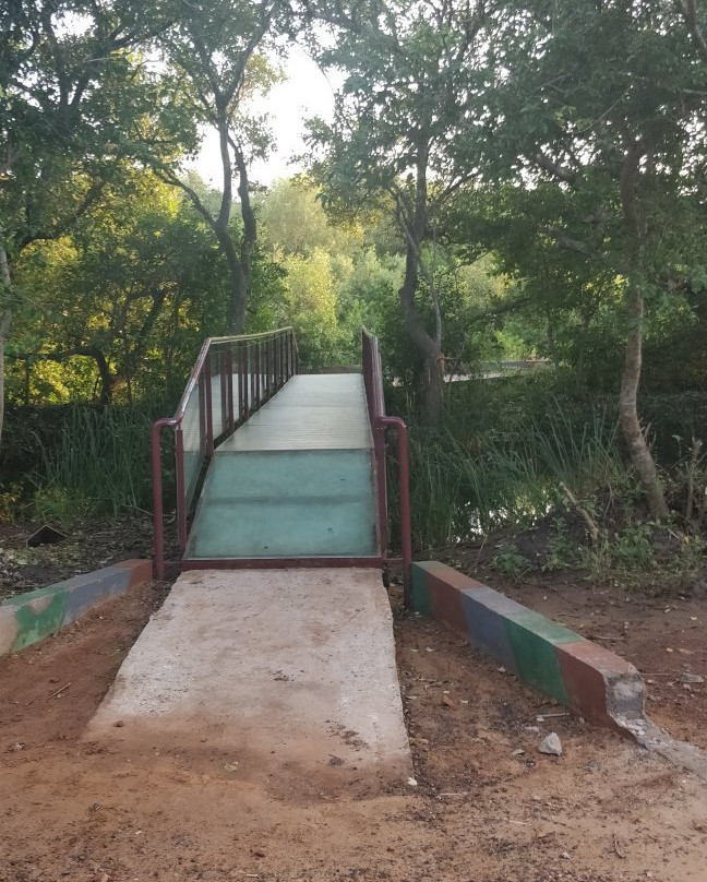 Coringa Wildlife Sanctuary-Kakinada必去景点