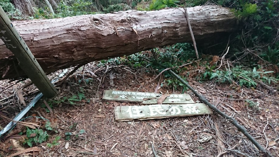 Okuyama Ameyama Nature Park-熊取町必去景点