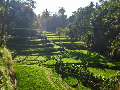 Sanur Driver-沙努尔必去景点