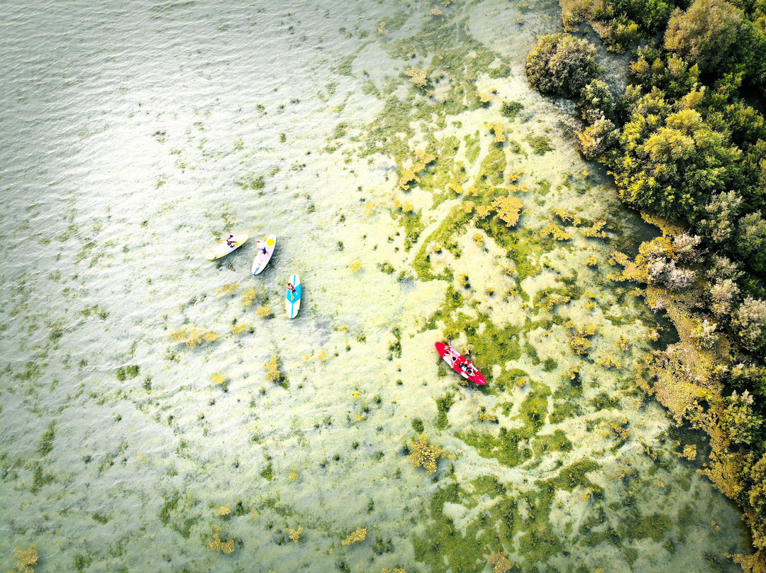 UAQ Mangrove Tours景点图片