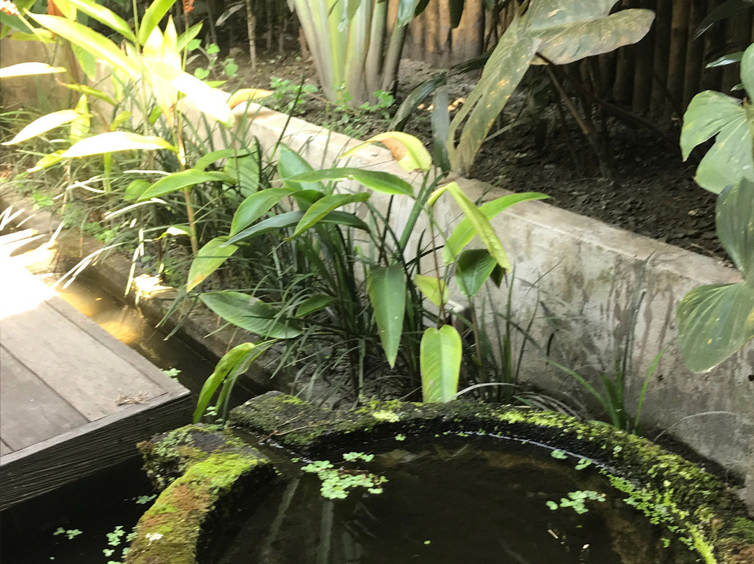 Ubud Pilates景点图片