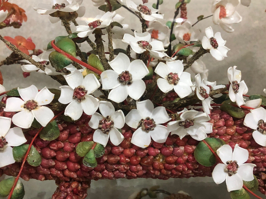 Ruth Lock Shell Art Gallery景点图片