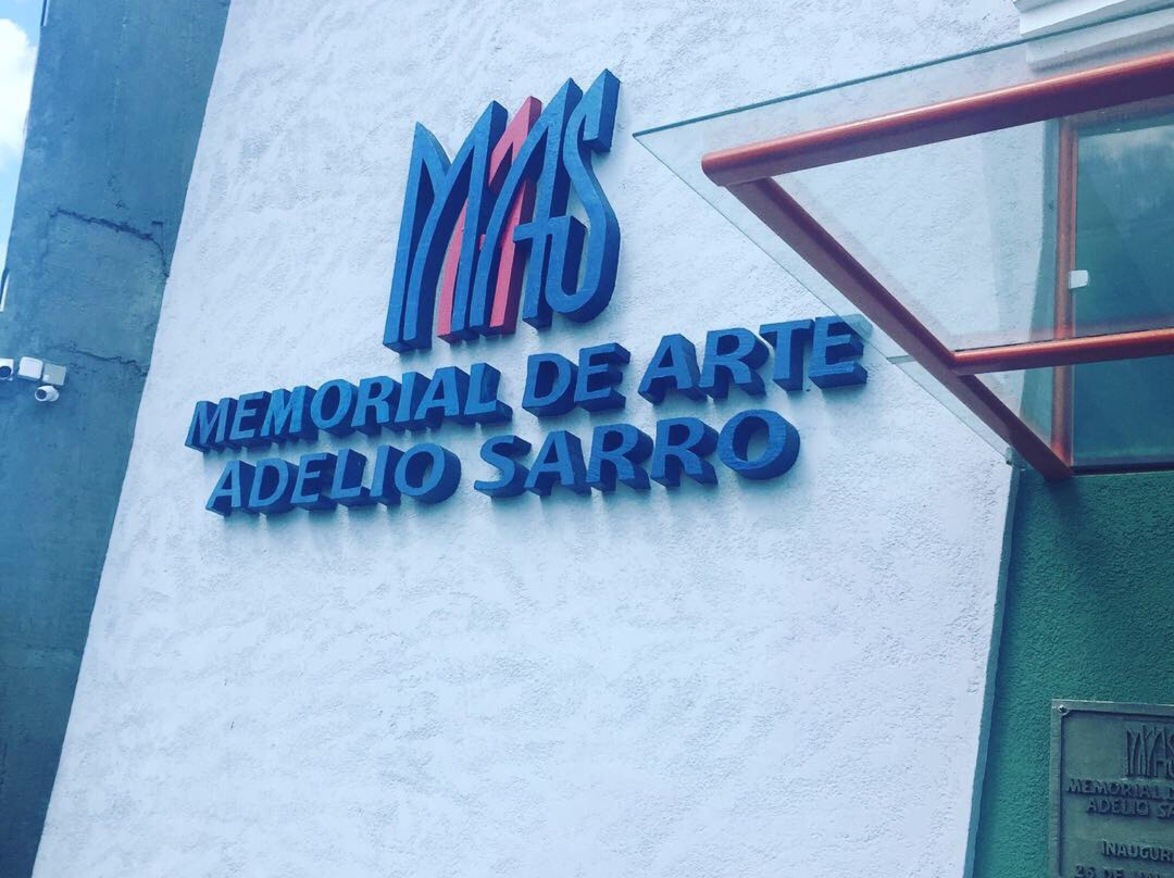 Memorial de Arte Adelio Sarro-维涅杜必去景点