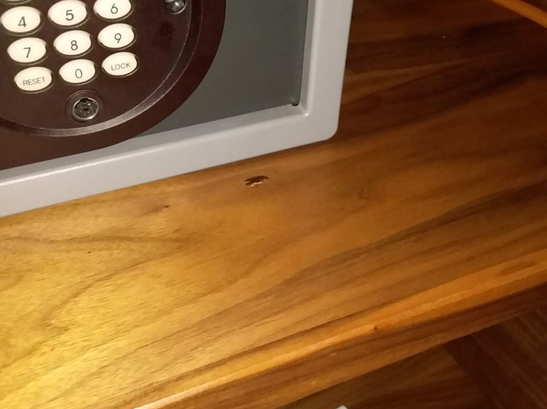 Premier Hotel Midrand主图