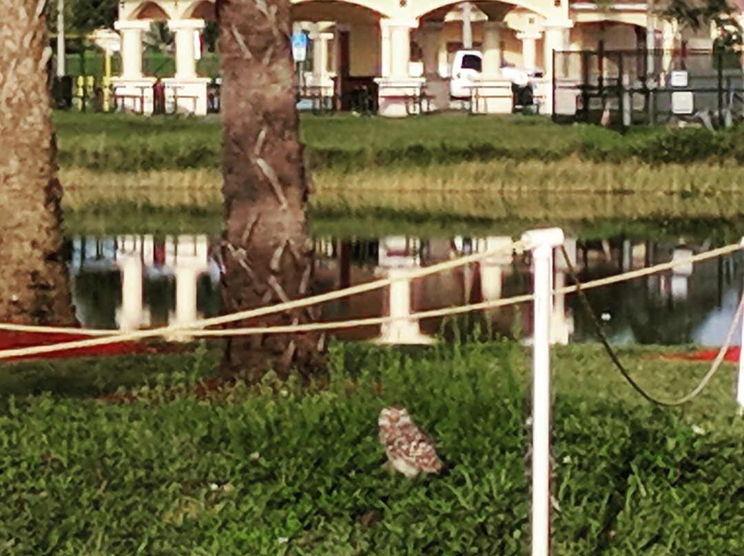 Miramar Regional Park-Miramar必去景点