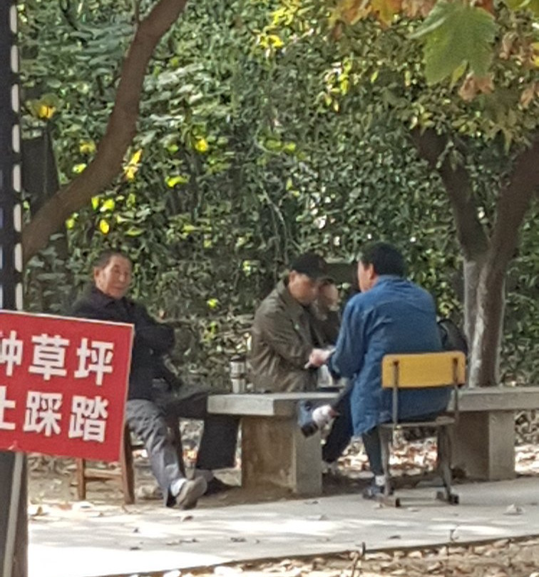 龙湖公园-淮南市必去景点