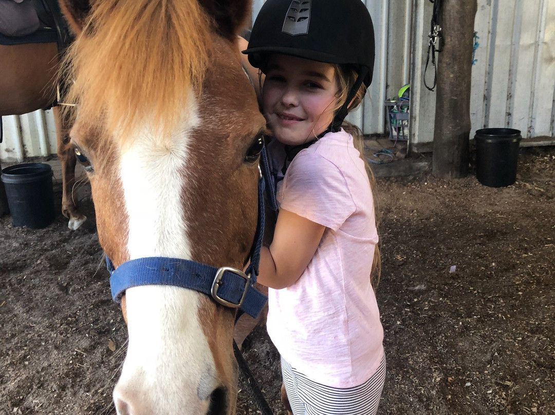 Mirravale Riding School-雅林角必去景点