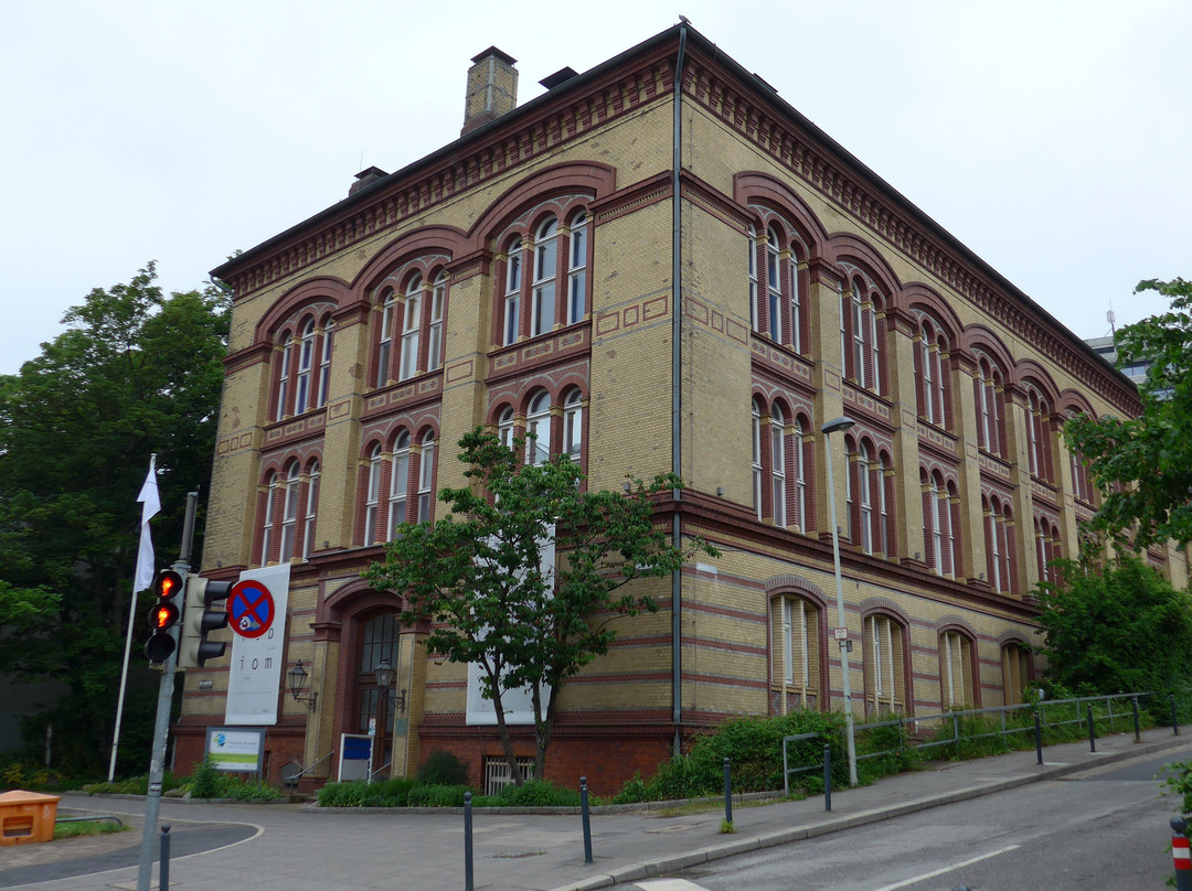 Zoologisches Museum景点图片