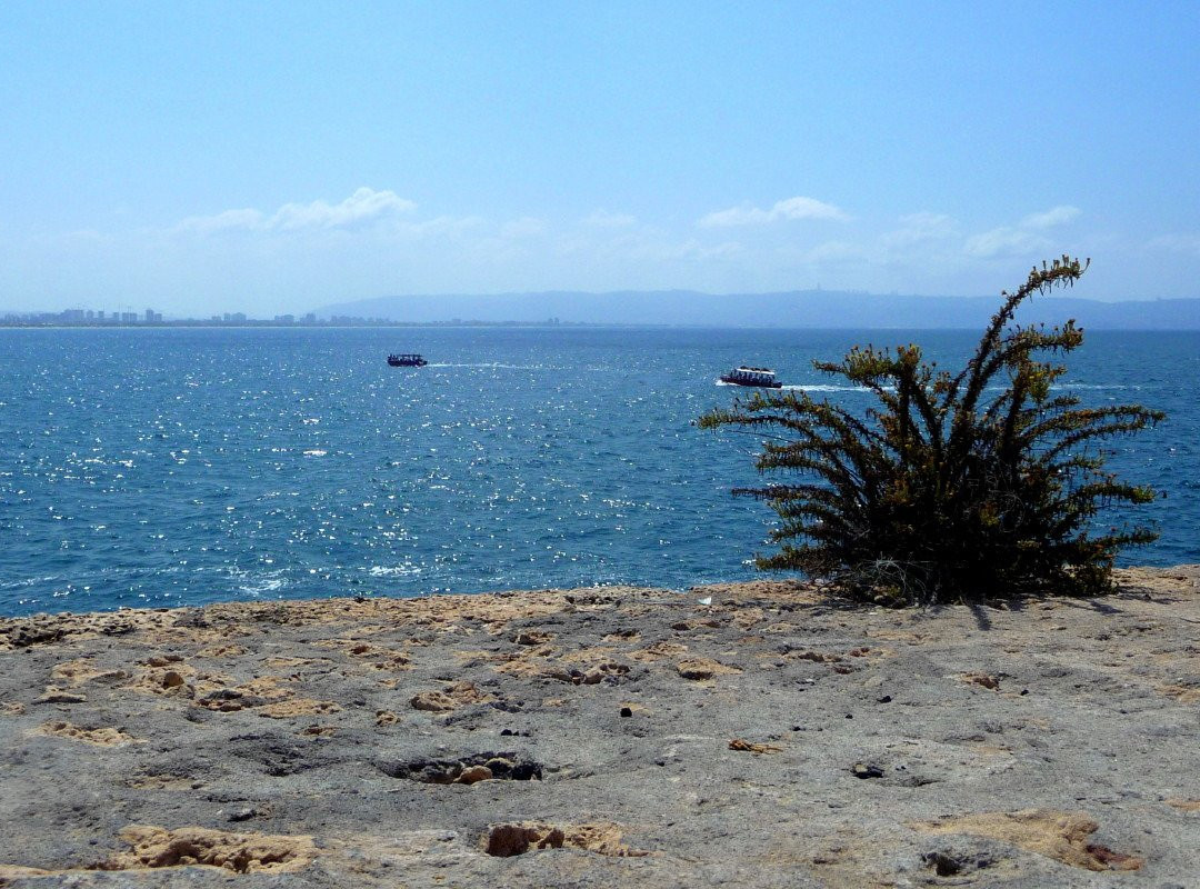 Akko Light - The Acre Lighthouse-阿克必去景点