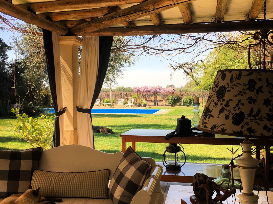 Los Arboles酒店住宿-Conalbi Grinberg Casa Vinicola