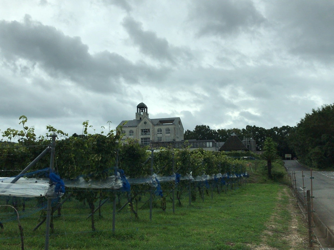 Nakaizu Winery Chateau T. S景点图片