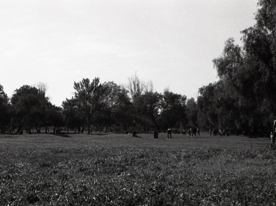 Parque Morelos-蒂华纳必去景点