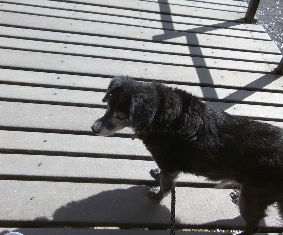 Rio Grande Southern Railroad Museum.-多洛雷斯必去景点