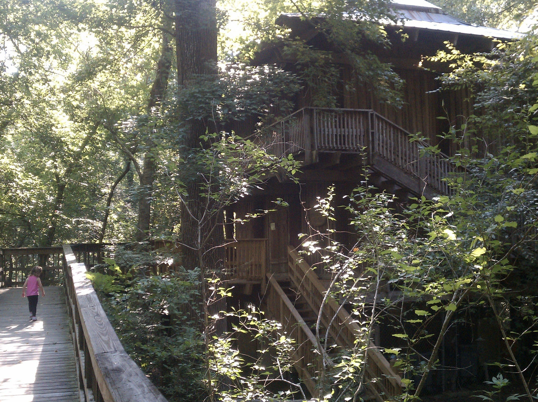 Acadiana Park Nature Station景点图片