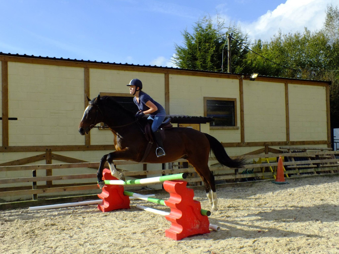 Smallfield Riding School景点图片
