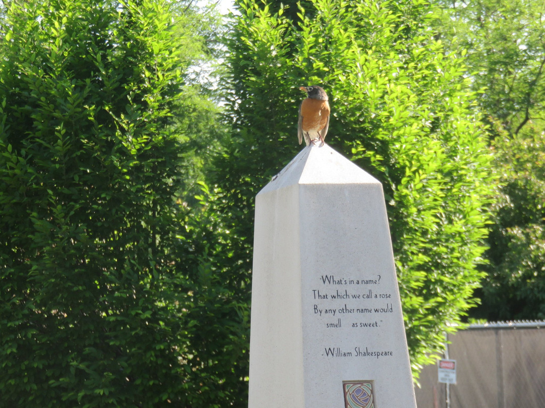 Hamann Rose Garden-林肯必去景点