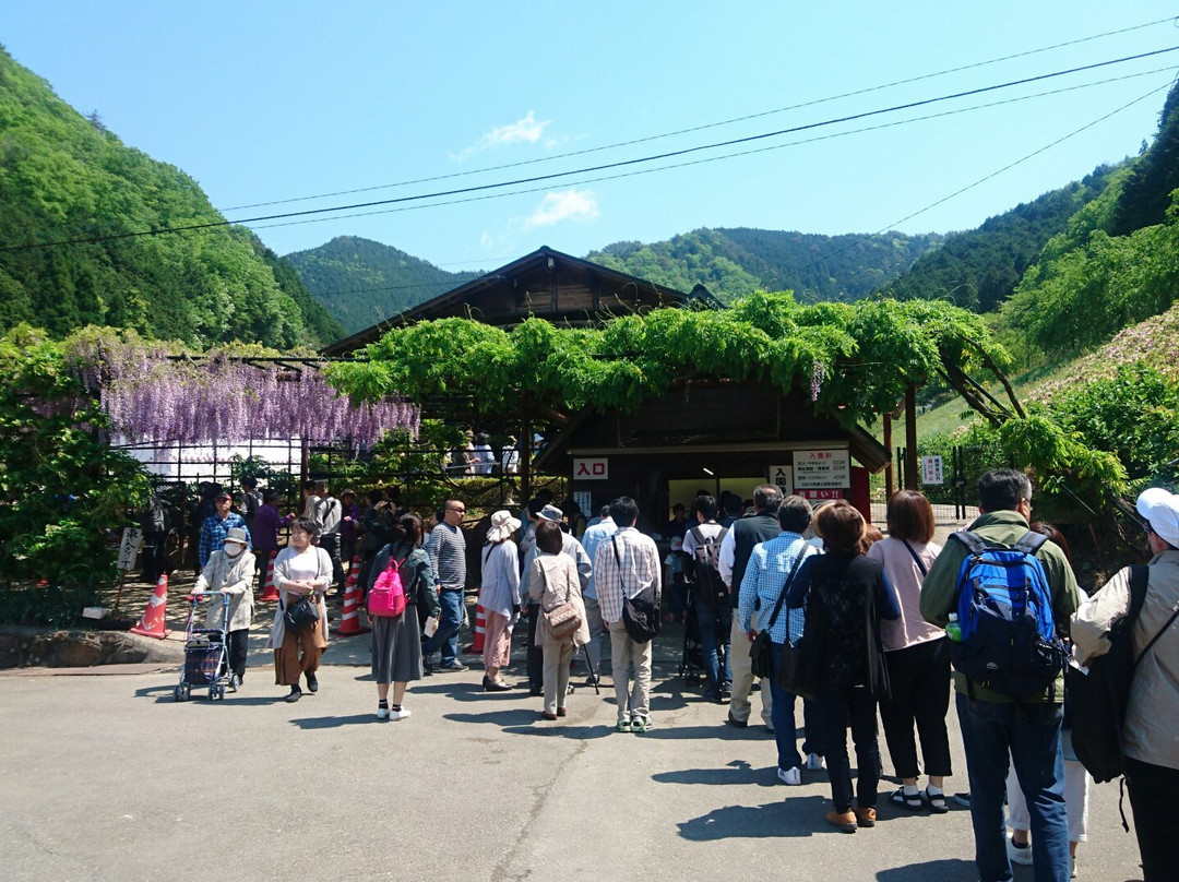 Shirai Omachi Fuji Park-朝来市必去景点