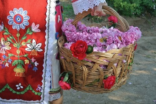 Koukery Art & Festival Travel景点图片