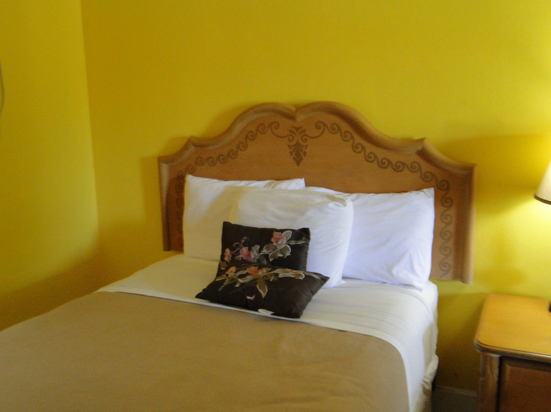 Royal Palm Hotel主图