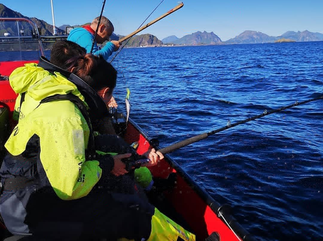 Lofoten fishing & searafting景点图片