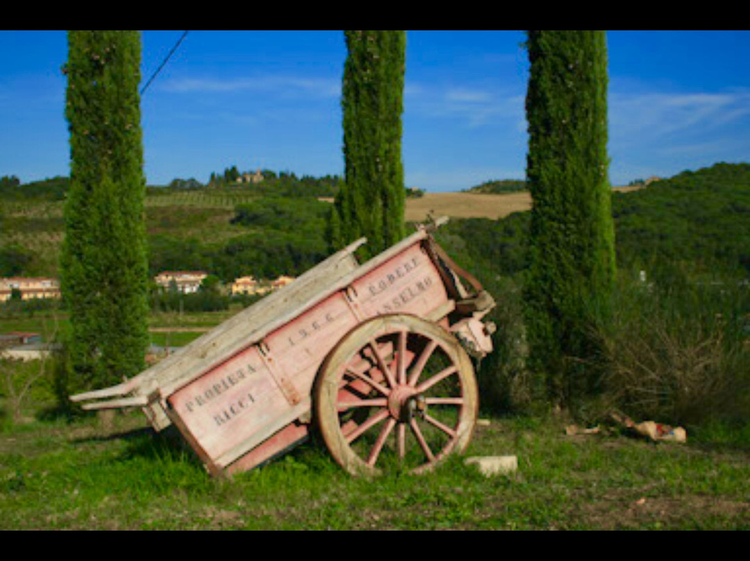 Podere Dell'Anselmo主图