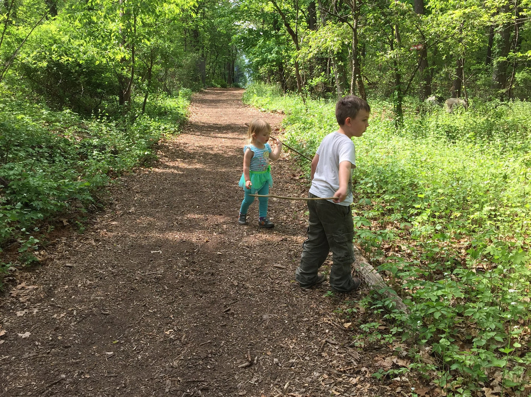 特纳夫莱旅游攻略图片