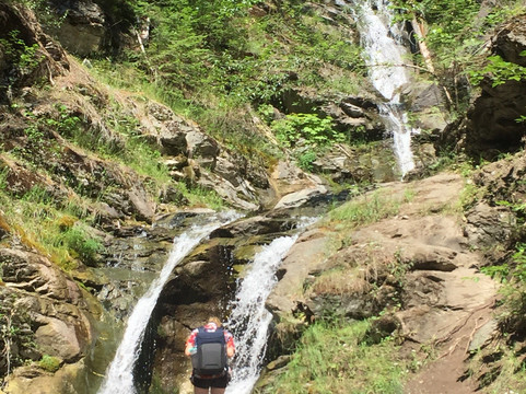 Evelyn Falls Trail-Anglemont必去景点