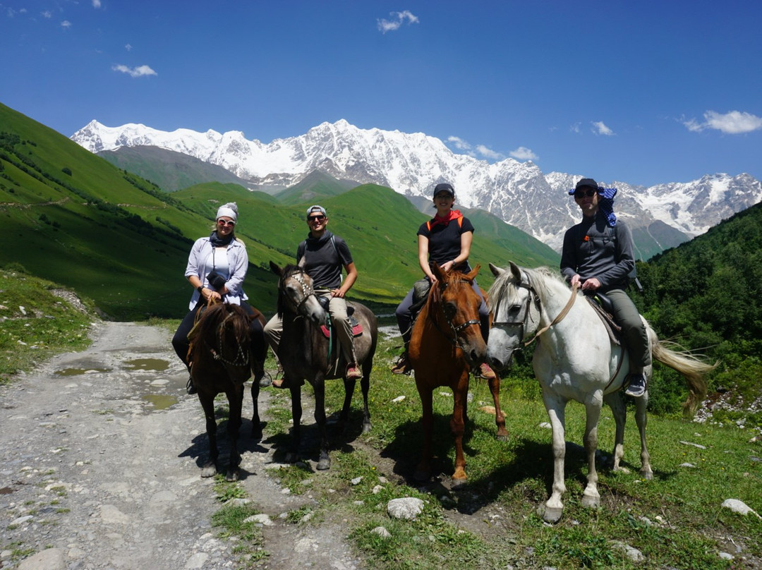 Horse Rentals in Ushguli Official景点图片