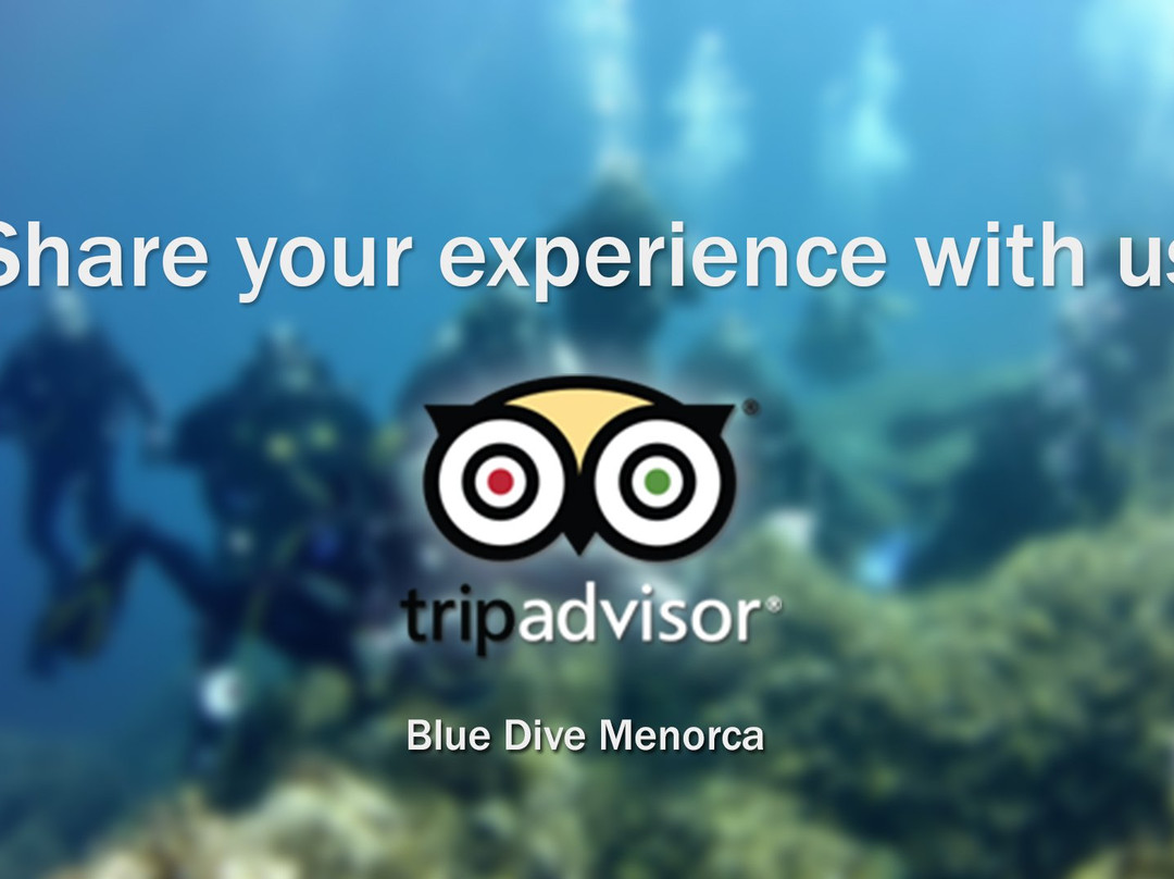 Blue Dive Menorca-Port d'Addaia必去景点