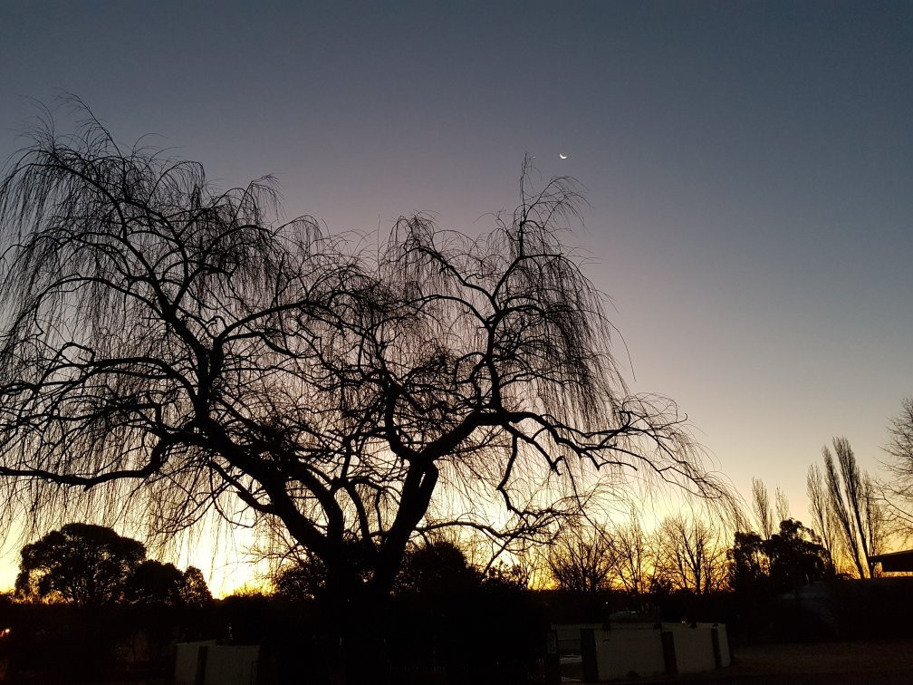 Rest Point Motor Inn主图