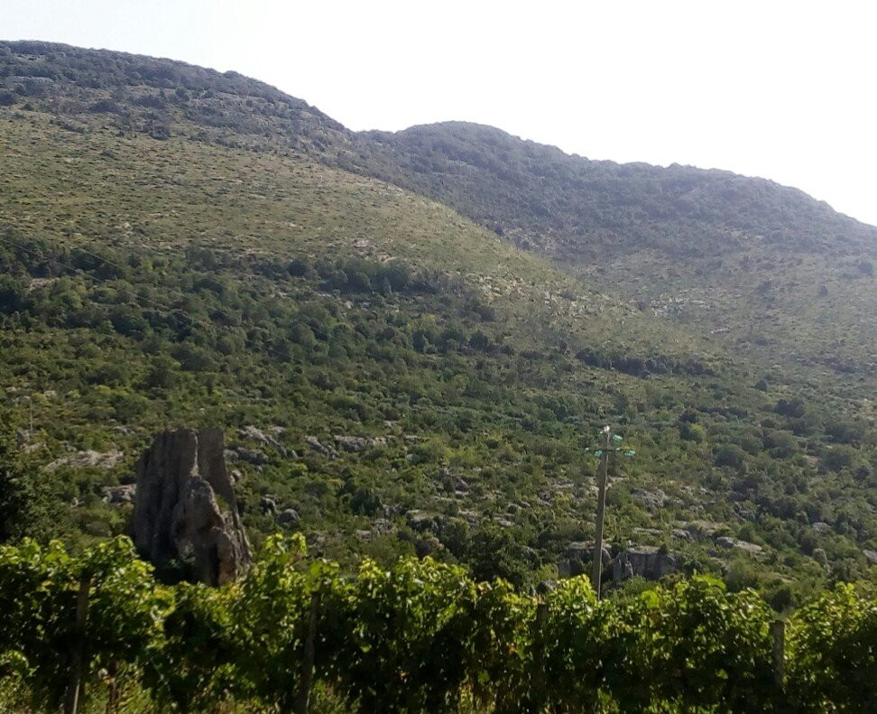 Monumento Naturale e Parco Regionale di Campo Soriano-特拉西那必去景点